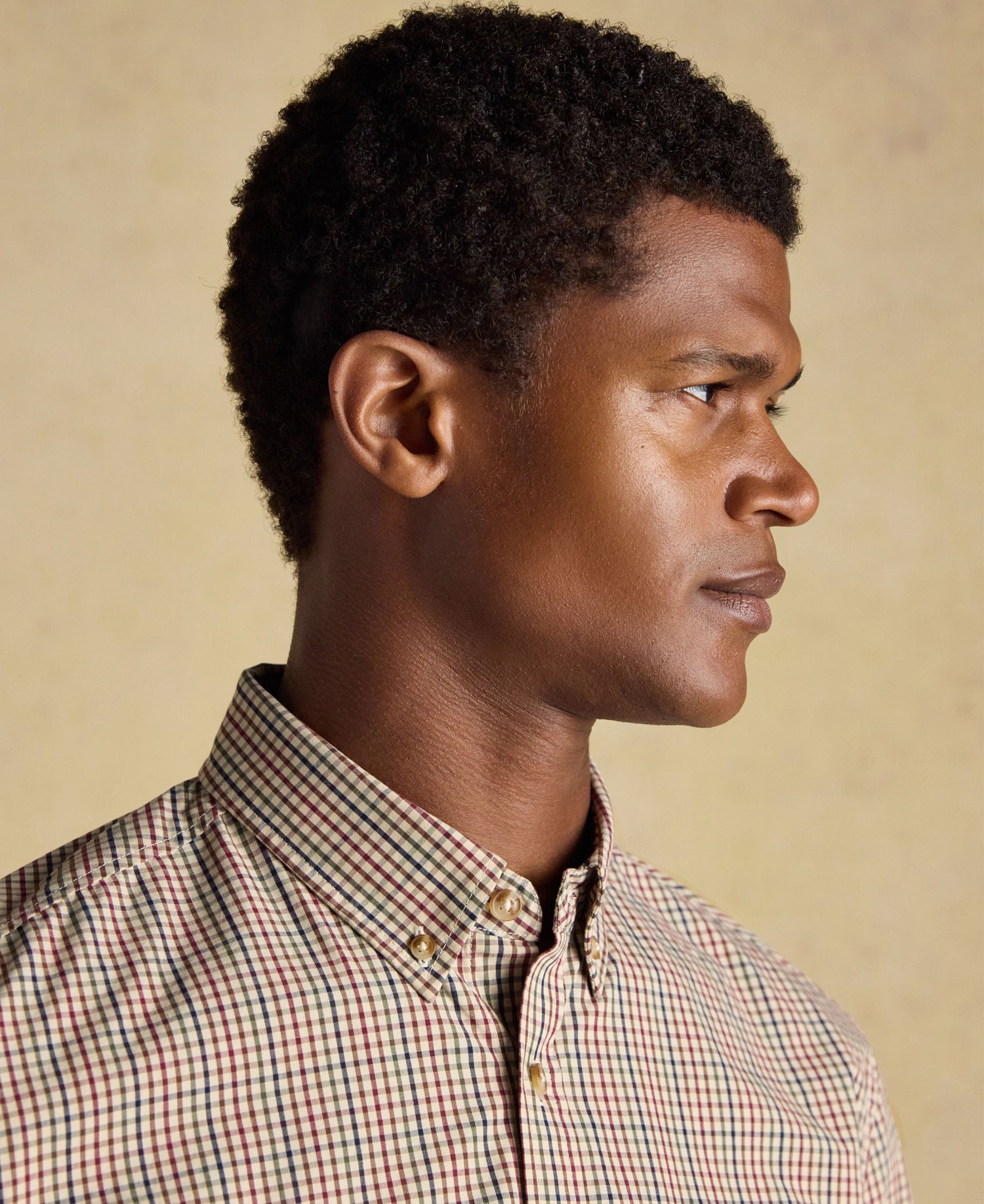 Cotton Poplin Gingham Shirt - Brown