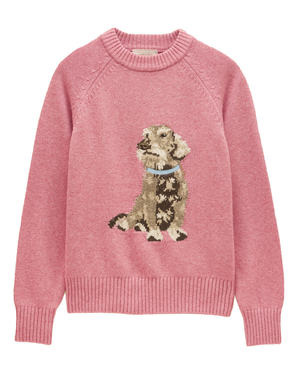 Dachshund Knit - Pink
