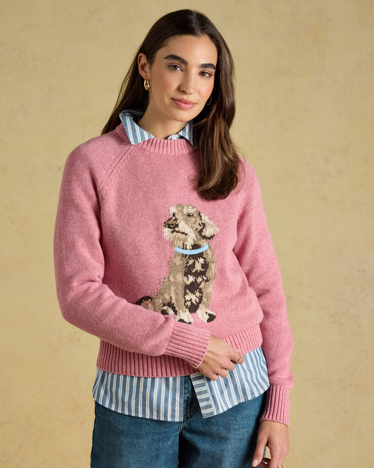 Dachshund Knit - Pink