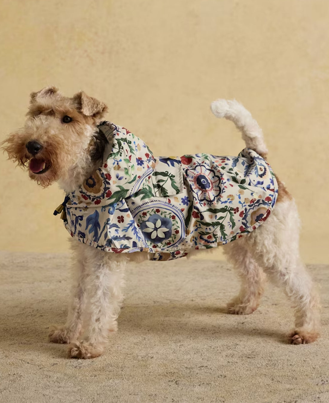 Festival Floral Packaway Jacket Small - Festival Floral