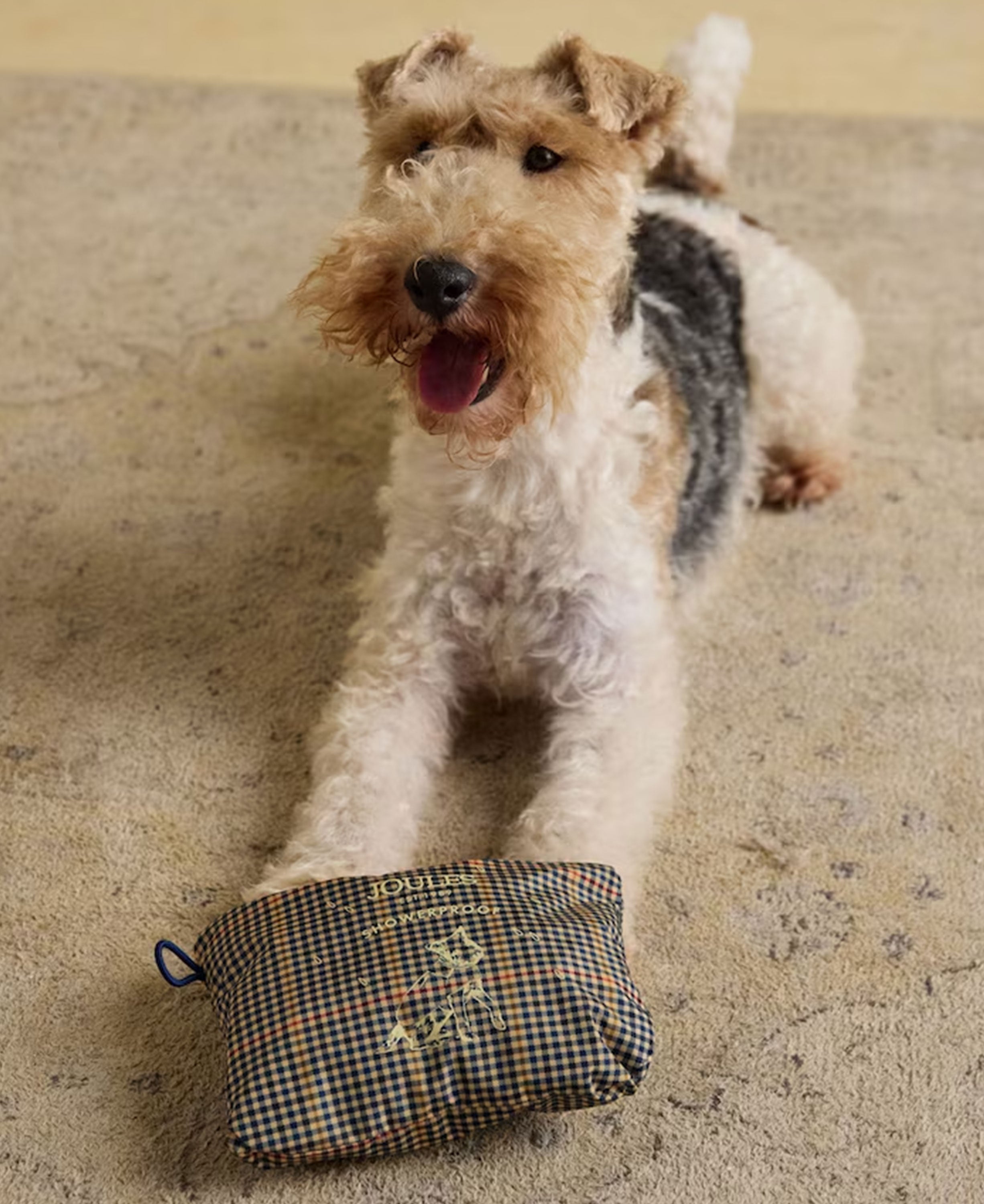 Packaway Dog Jacket Medium - Henson Check