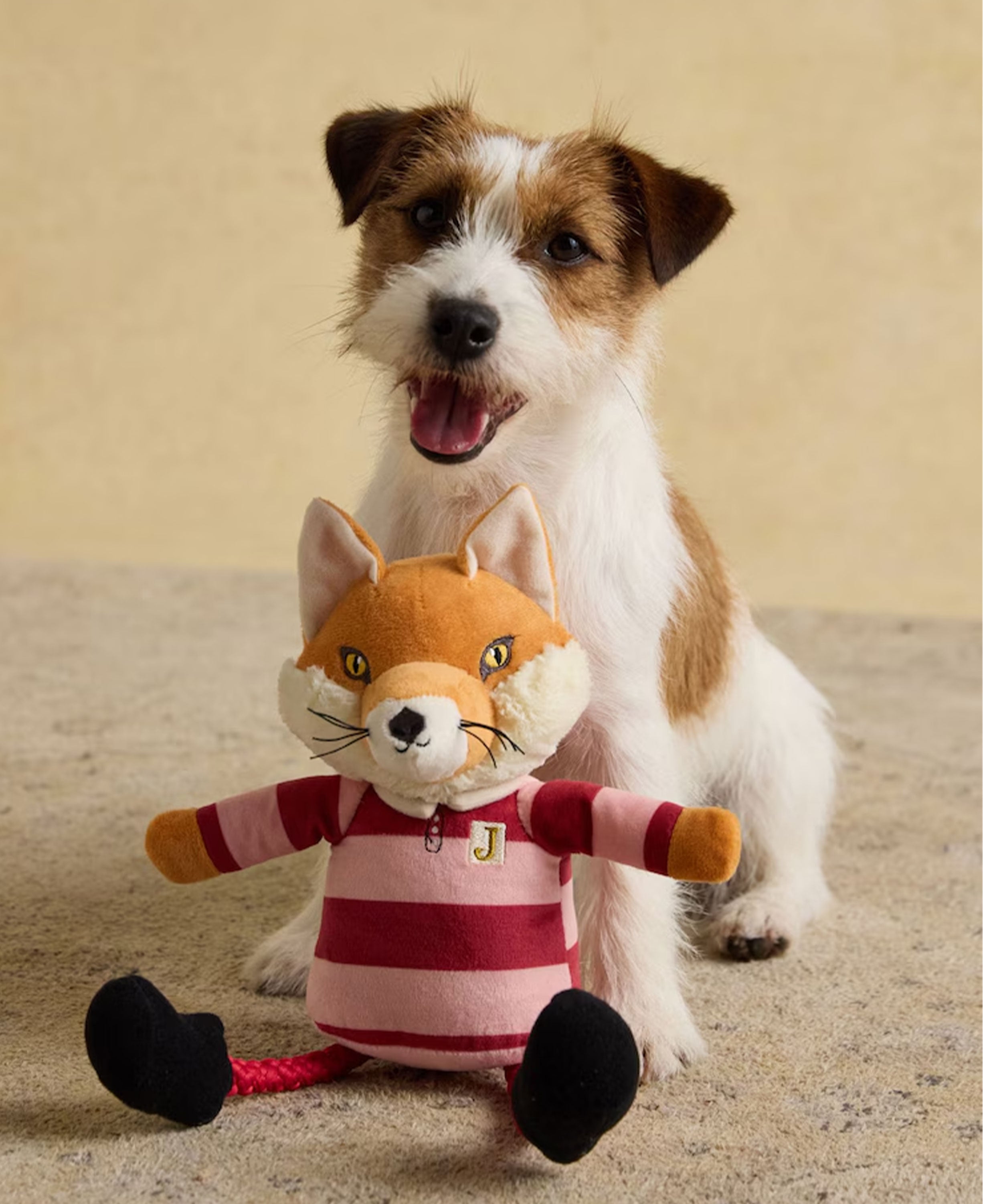 Jonty Rugby - Fox