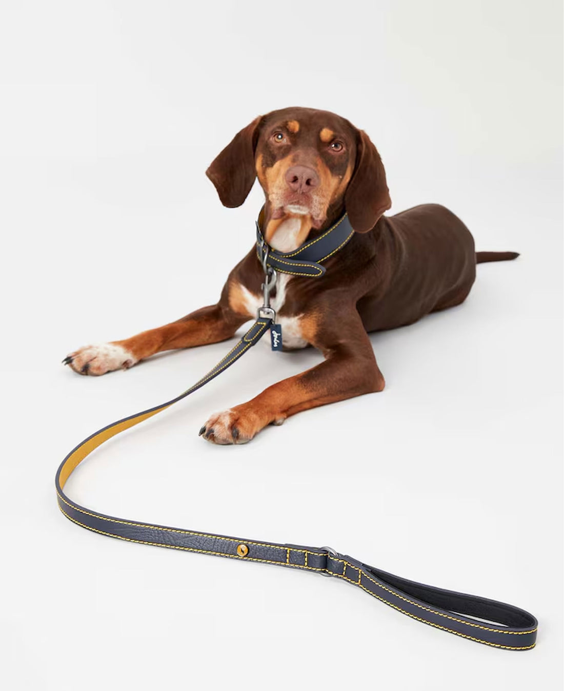 Leather Lead - Navy