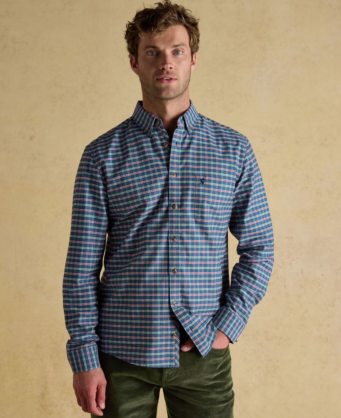 Oxford Check Cotton Shirt - Blue