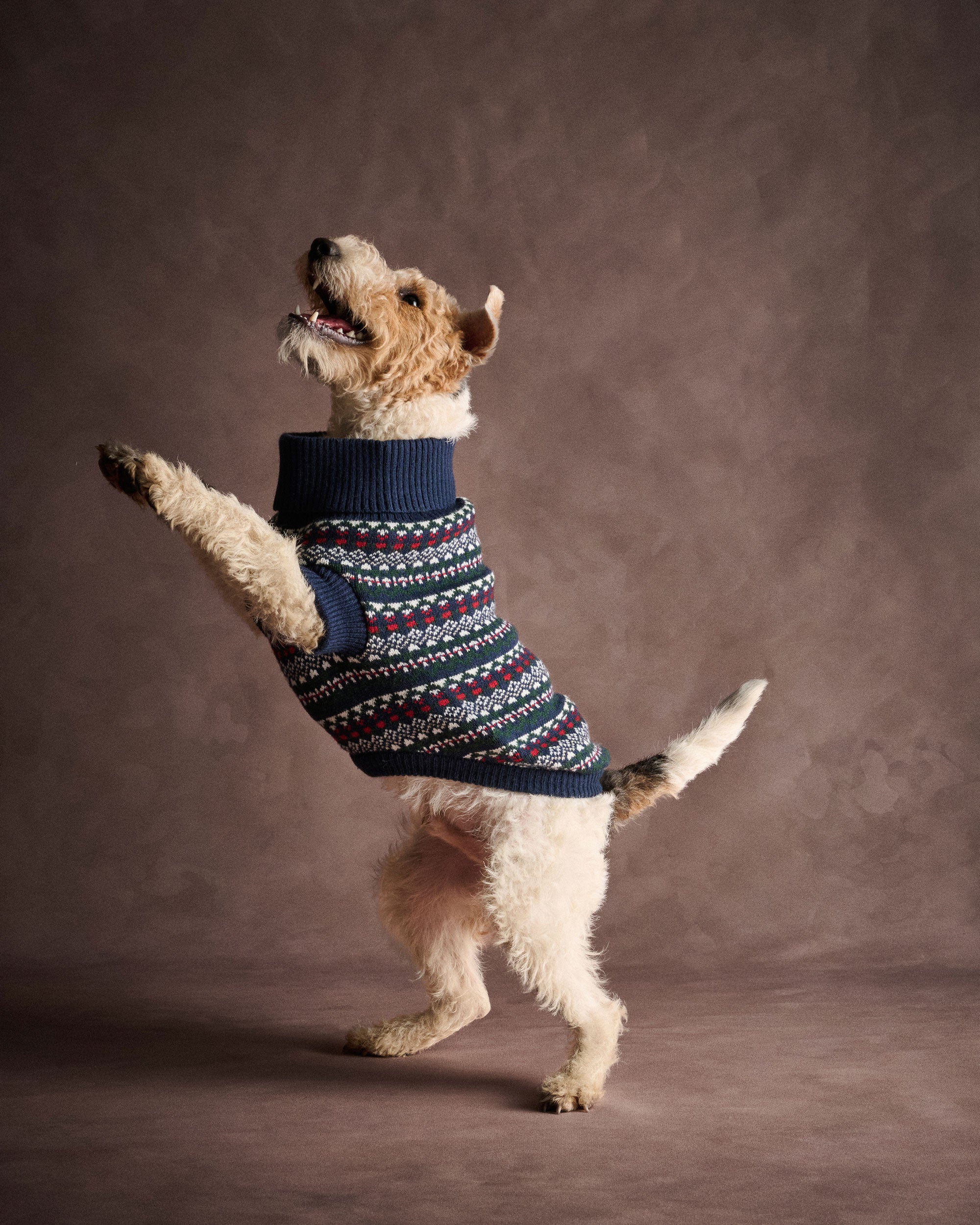 Marlow Fairisle Dog Jumper - Navy Festive
