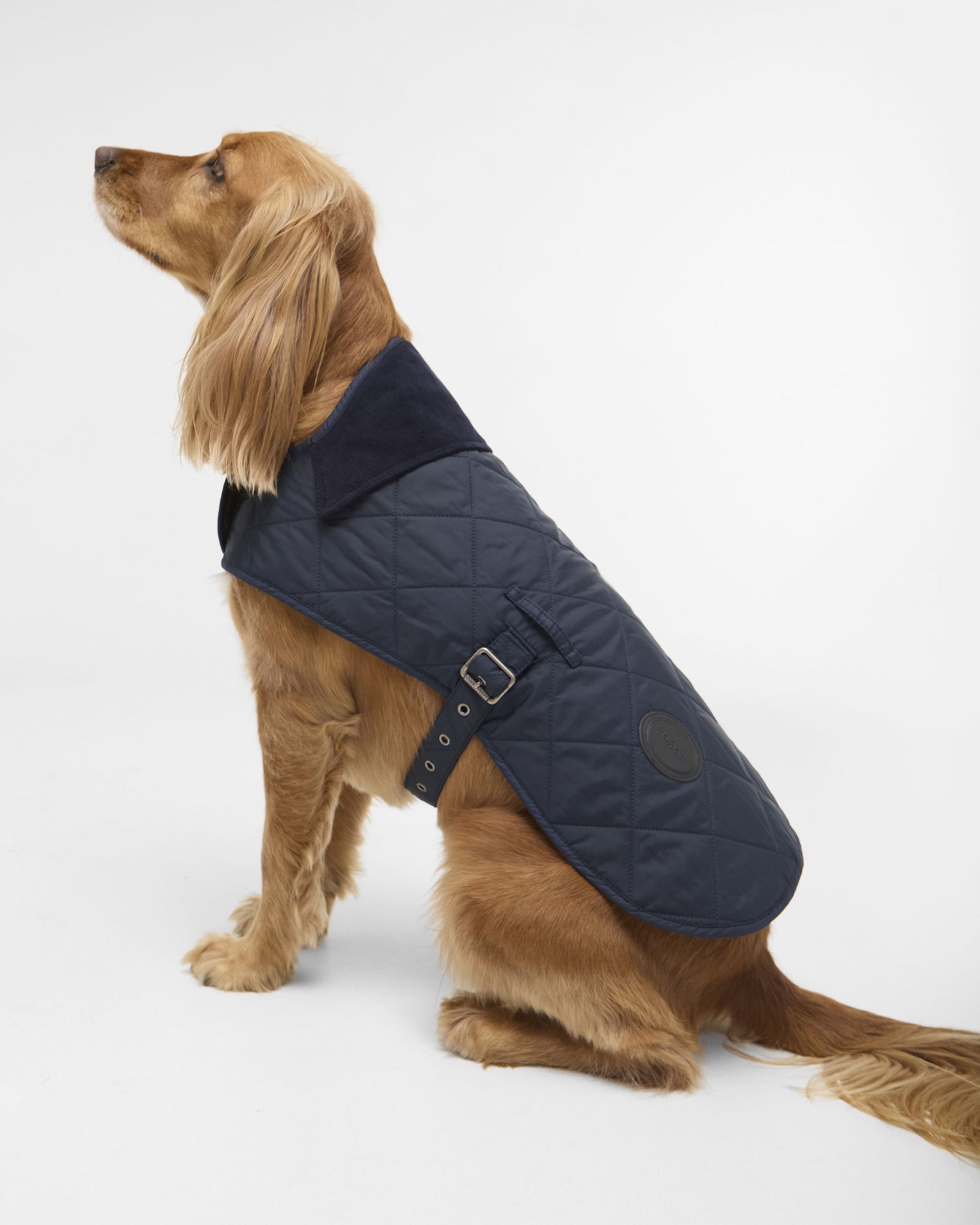 Quilted Dog Coat - Dark Navy