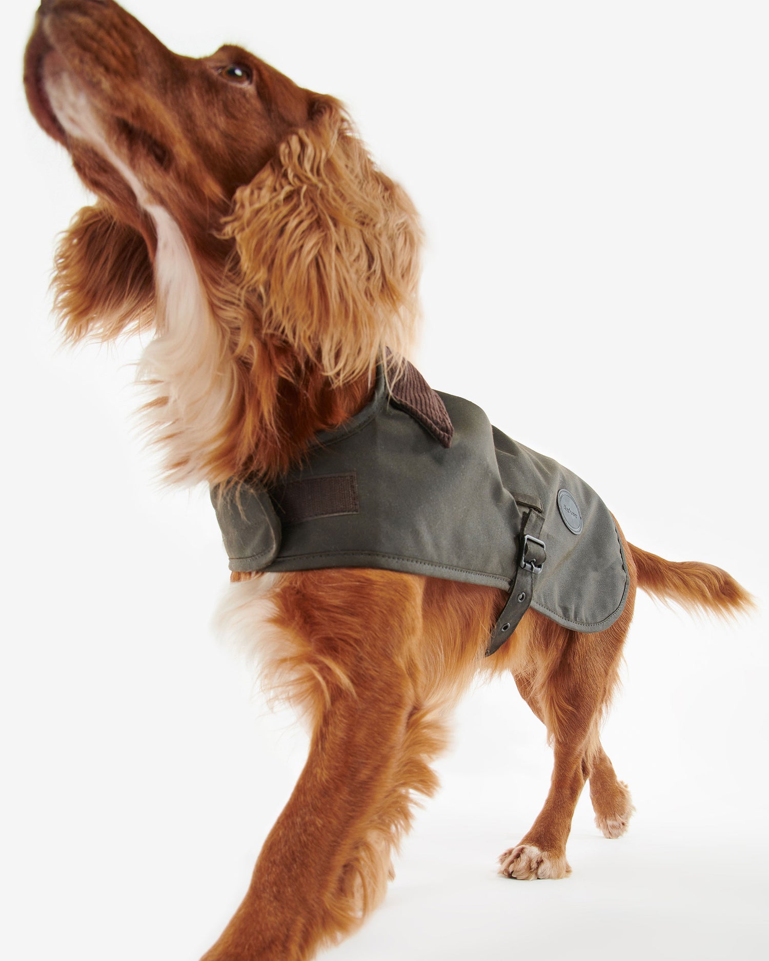 Sylkoil Wax Dog Coat - Olive