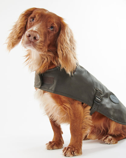 Sylkoil Wax Dog Coat - Olive