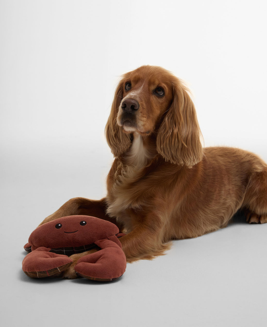 Crab Dog Toy