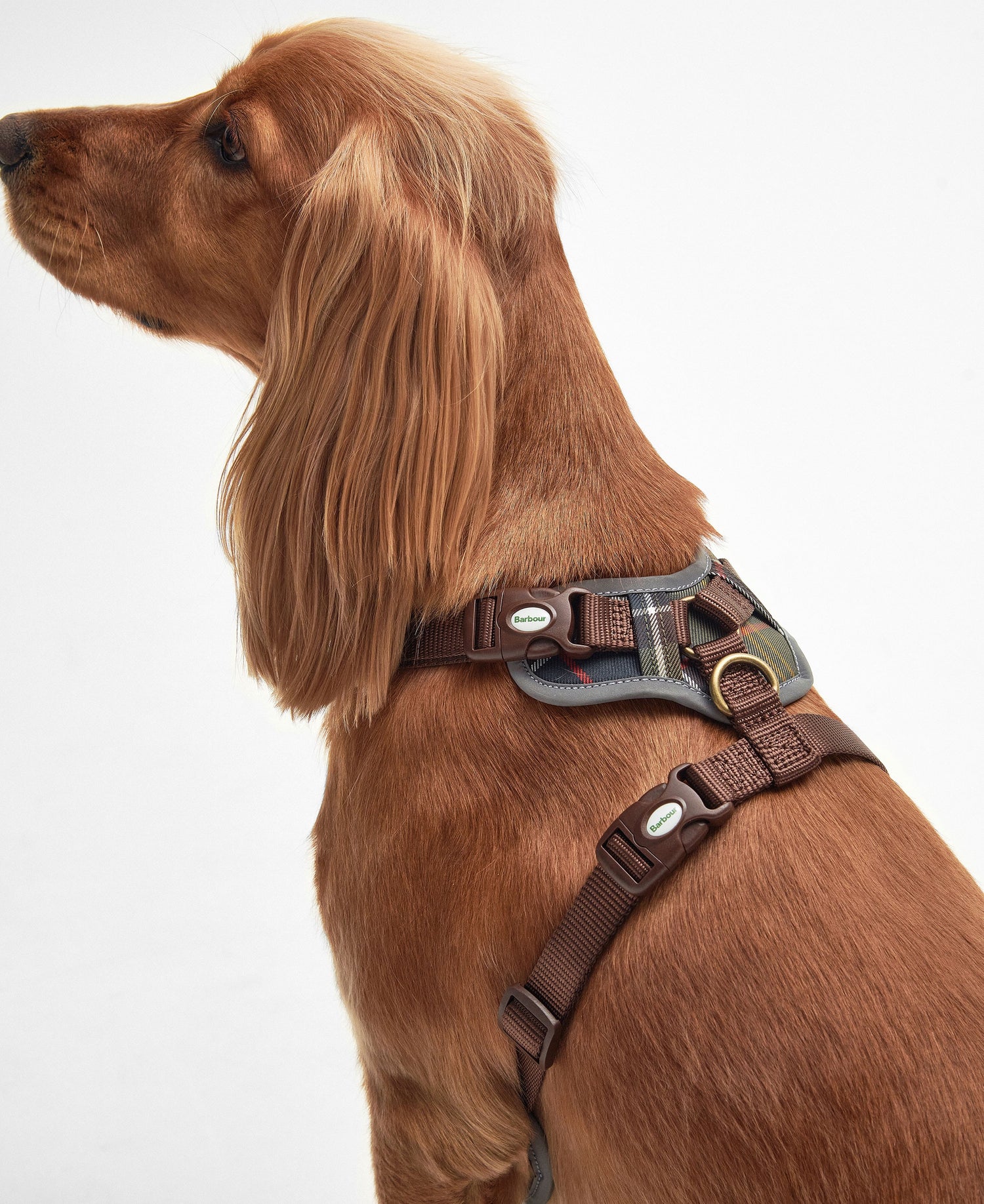 Fully Adjustable Harness - Classic Tartan