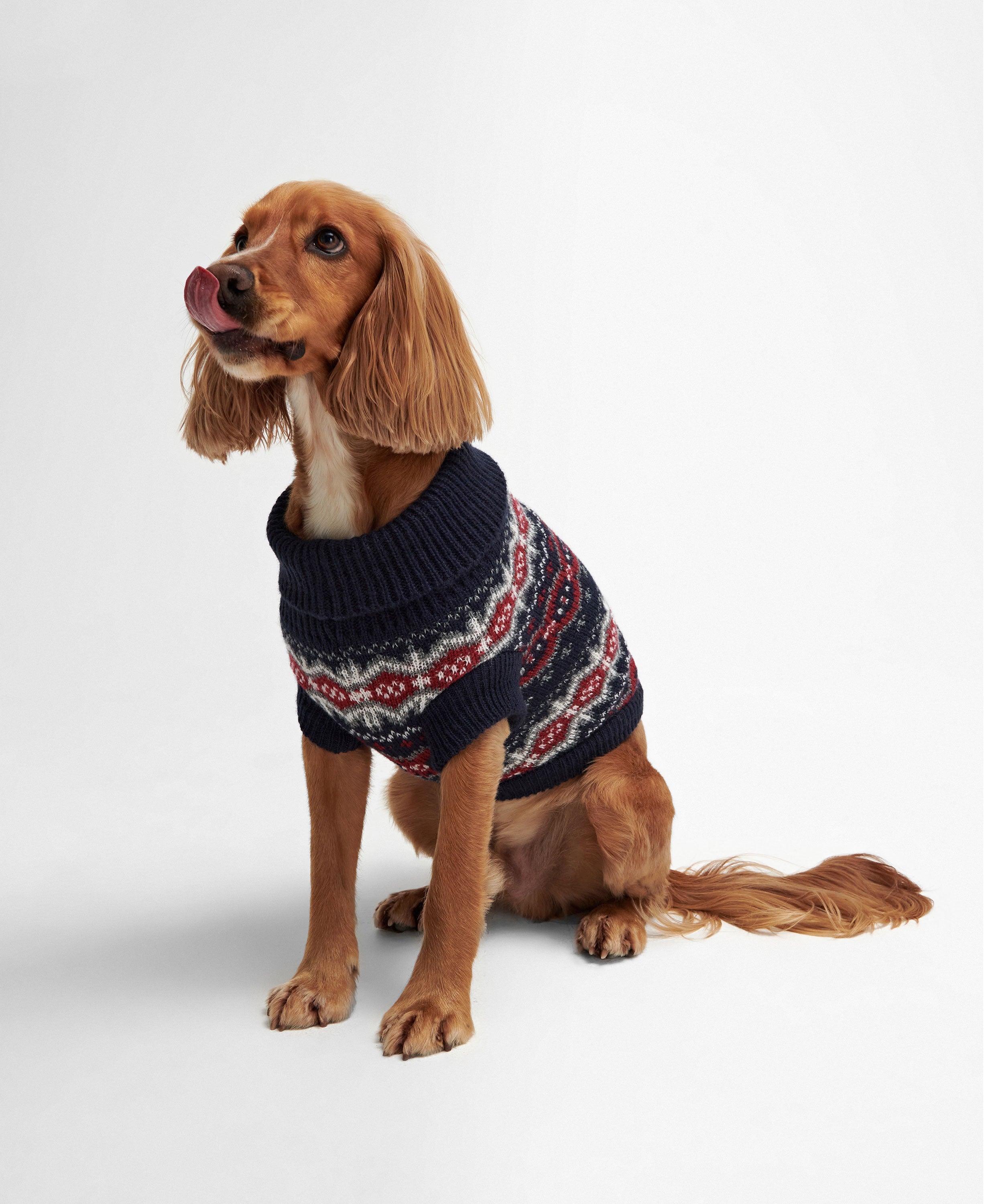 Case Fairisle Dog Jumper - Blue Granite