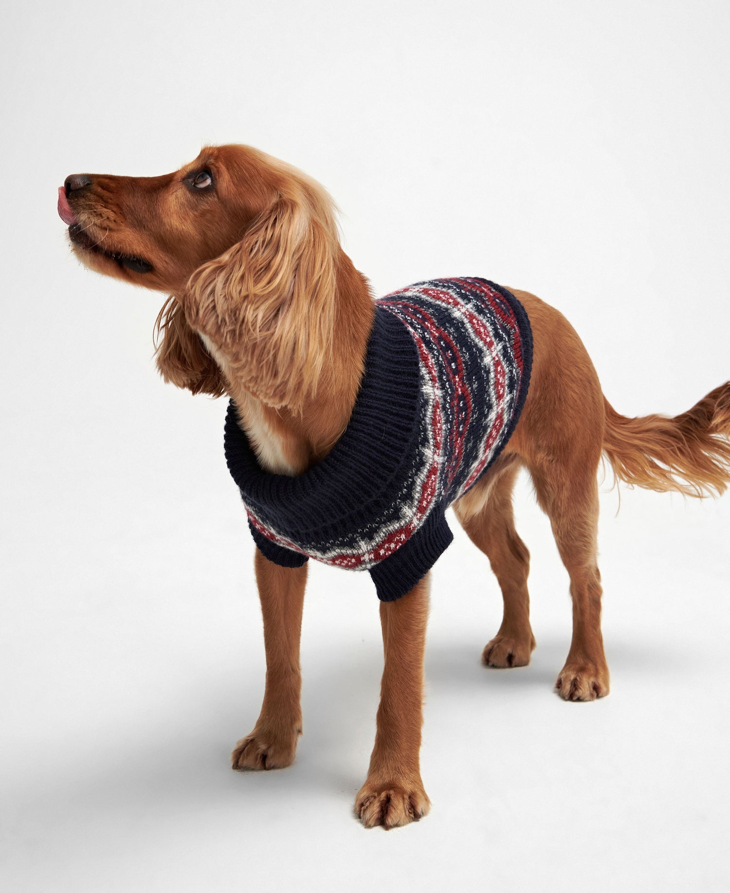 Case Fairisle Dog Jumper - Blue Granite