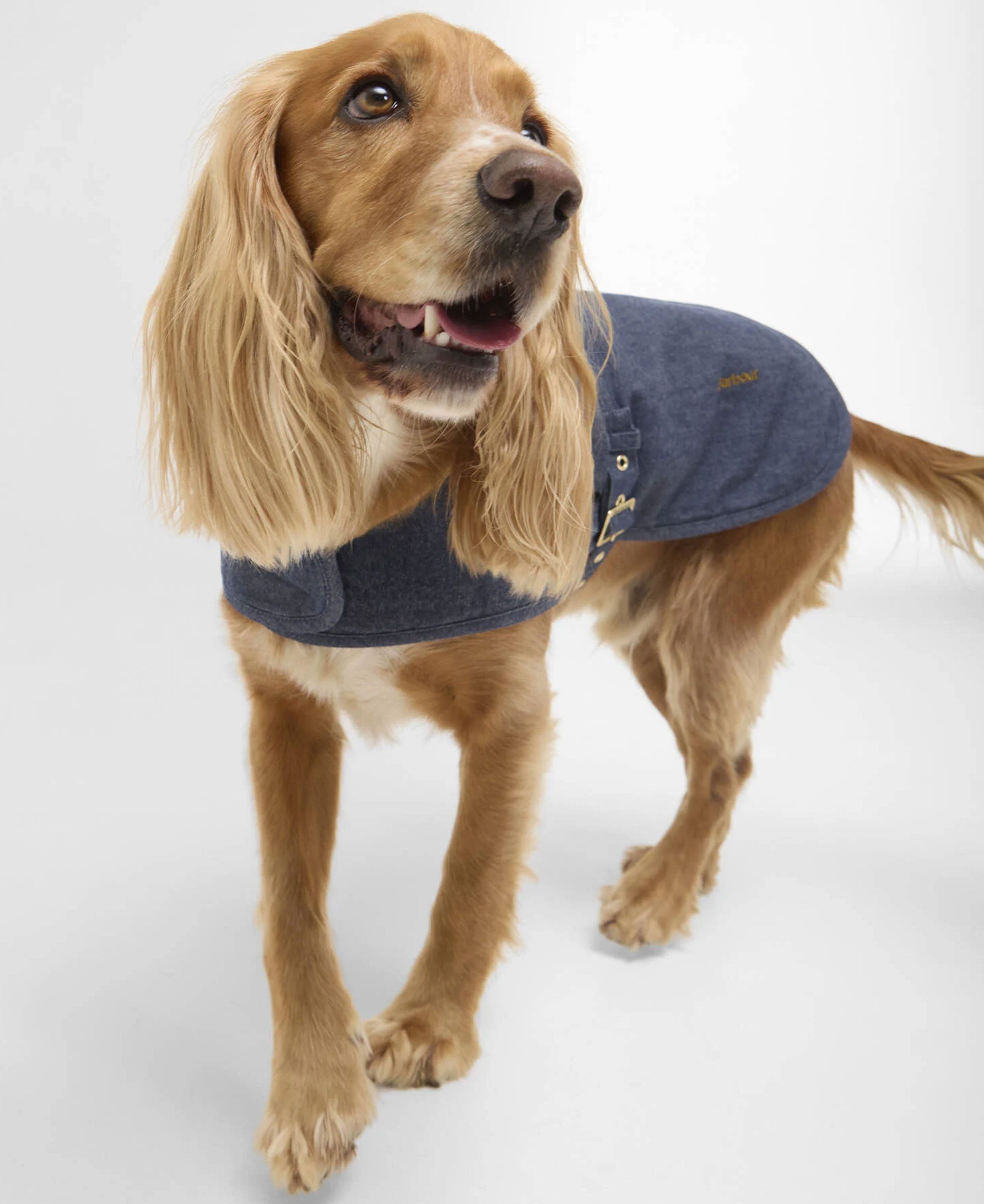 Denim Drywax Dog Coat - Indigo