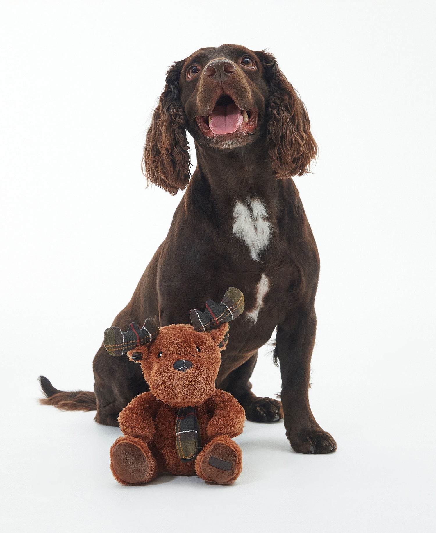 Reindeer Dog Toy