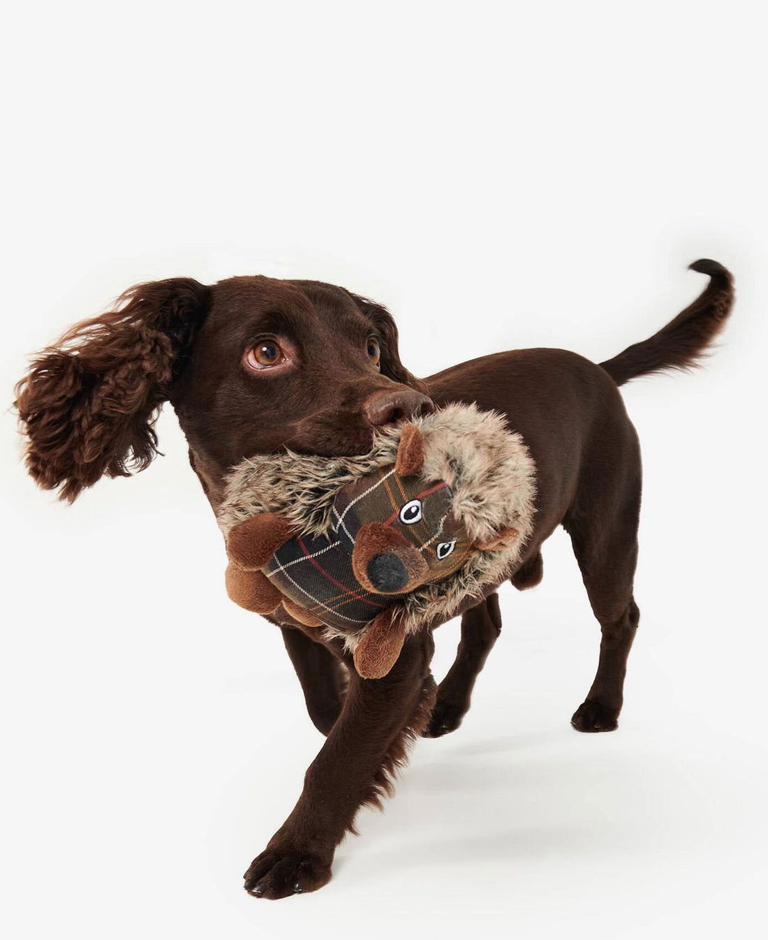 Hedgehog Dog Toy - Brown/Tartan