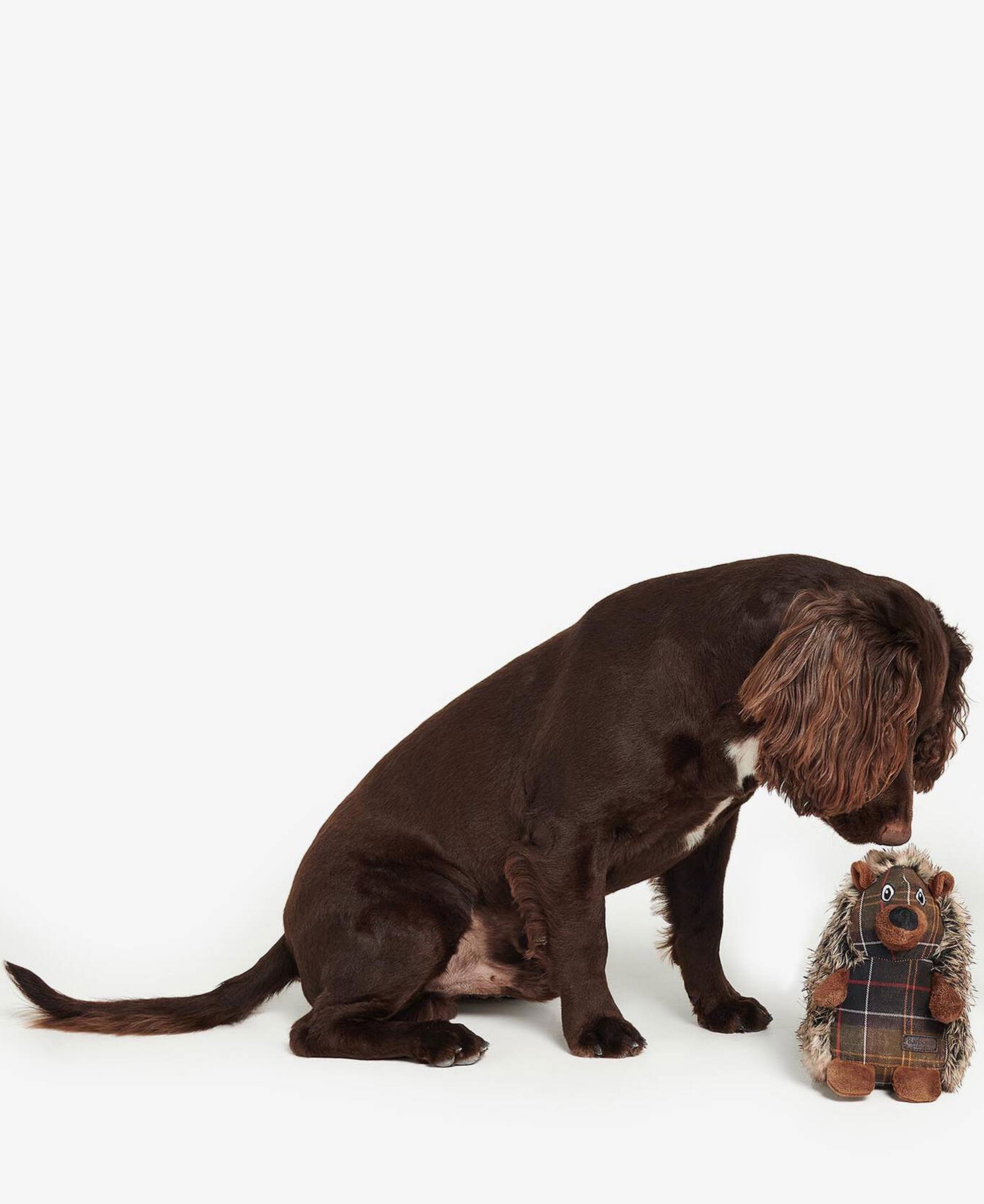 Hedgehog Dog Toy - Brown/Tartan