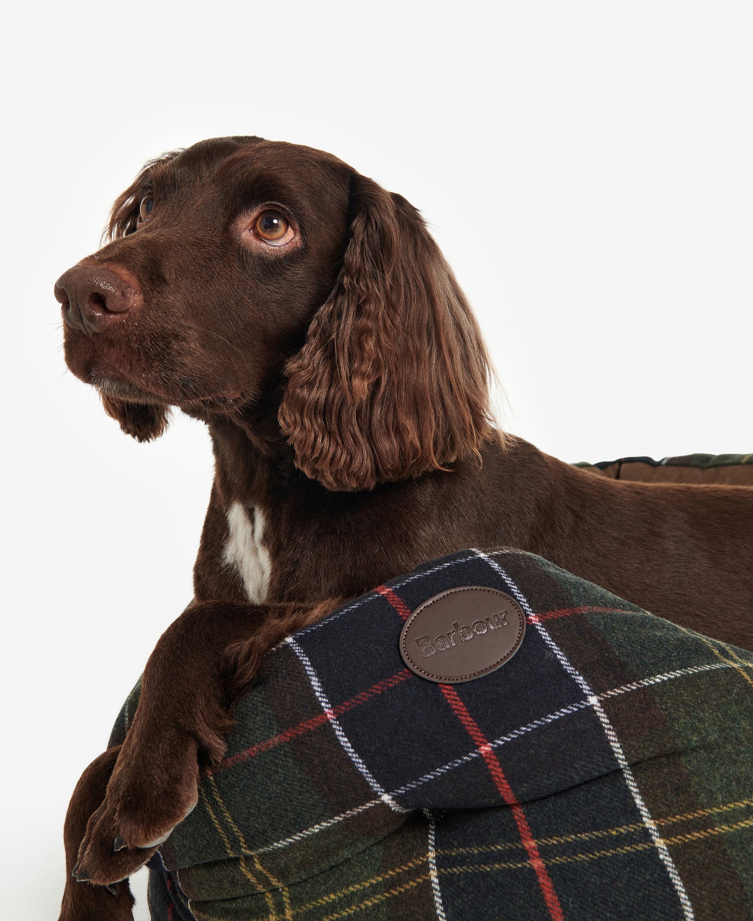 Luxury Dog Bed 30in - Classic Tartan