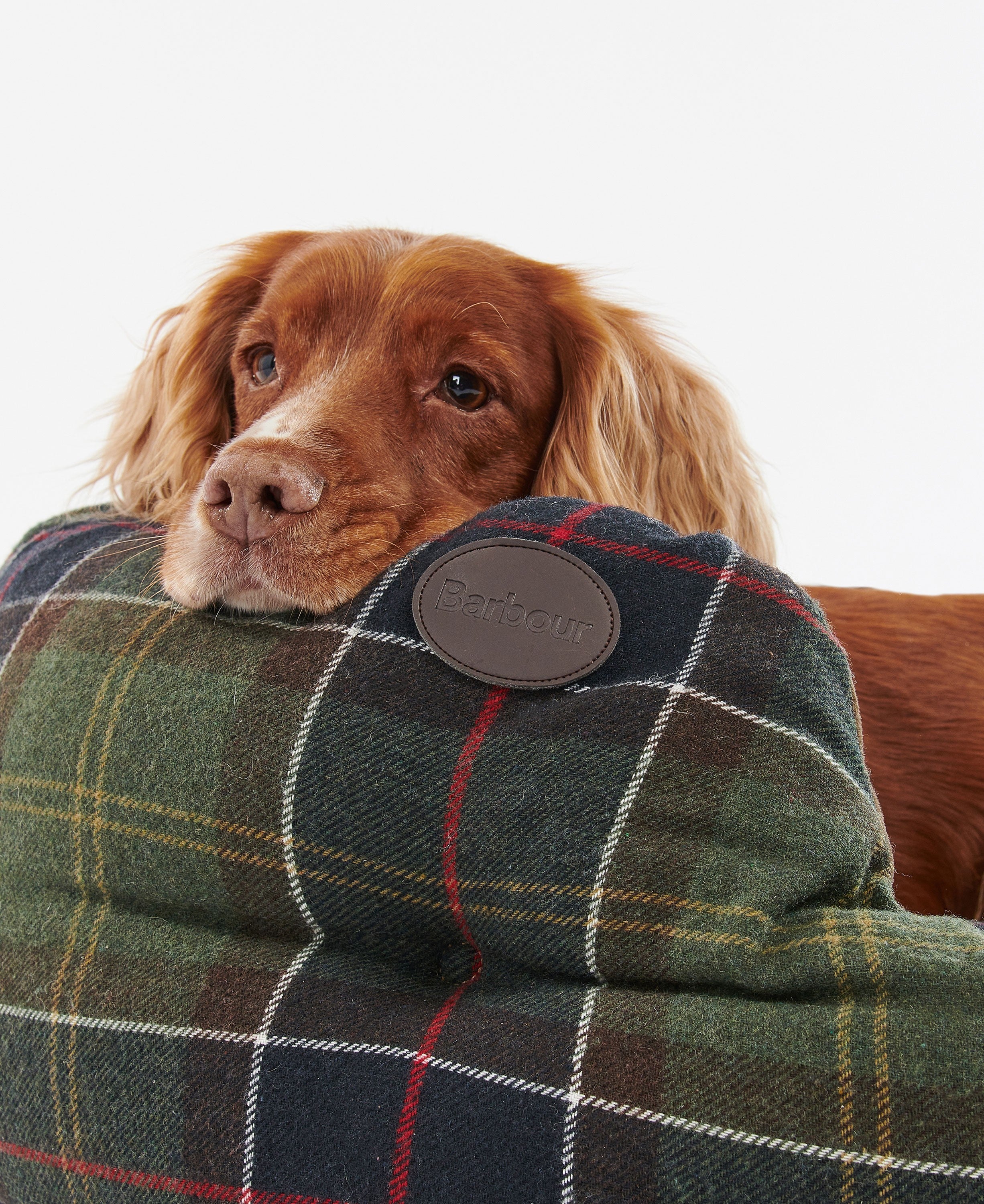 Luxury Dog Bed 35in - Classic Tartan