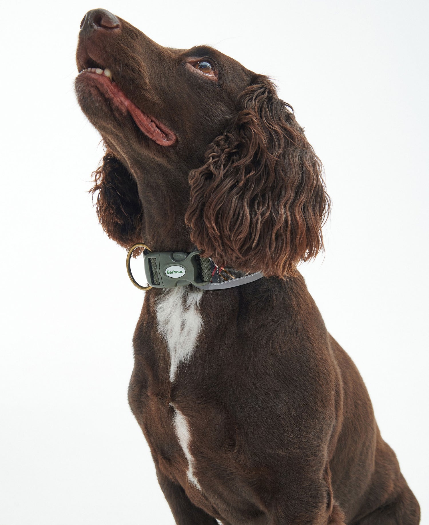 Reflective Tartan Comfort Dog Collar - Classic Tartan