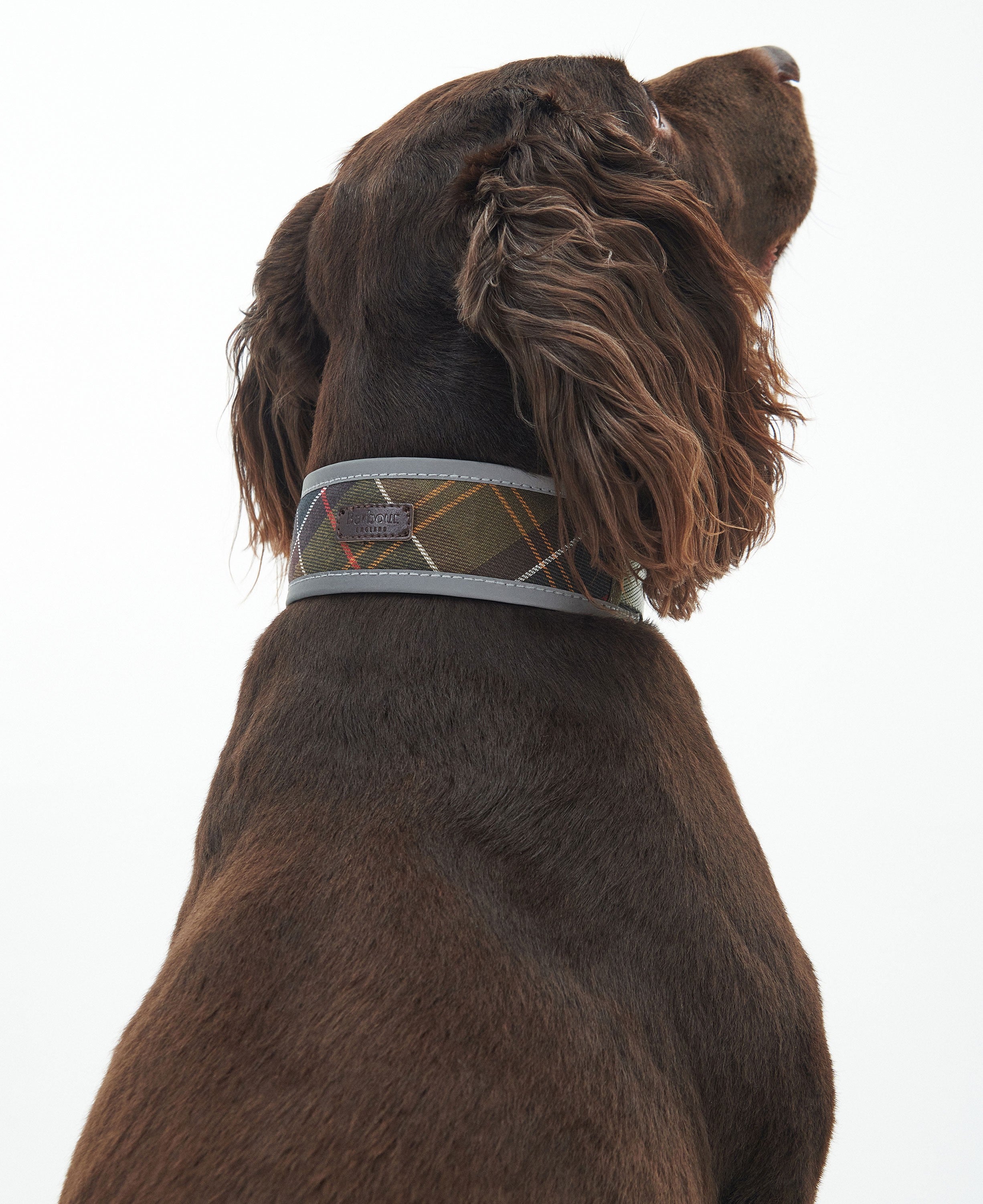 Reflective Tartan Comfort Dog Collar - Classic Tartan