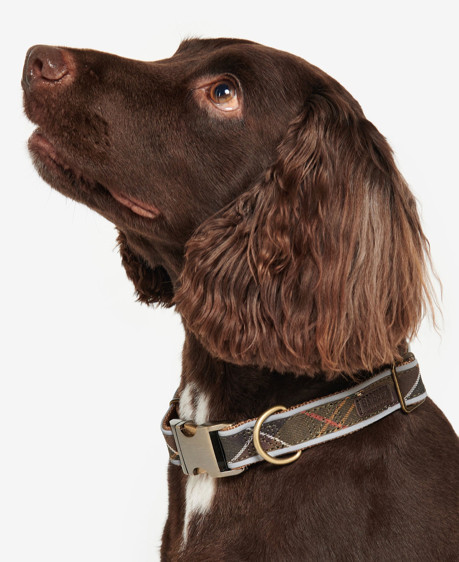 Reflective Tartan Dog Collar - Classic Tartan