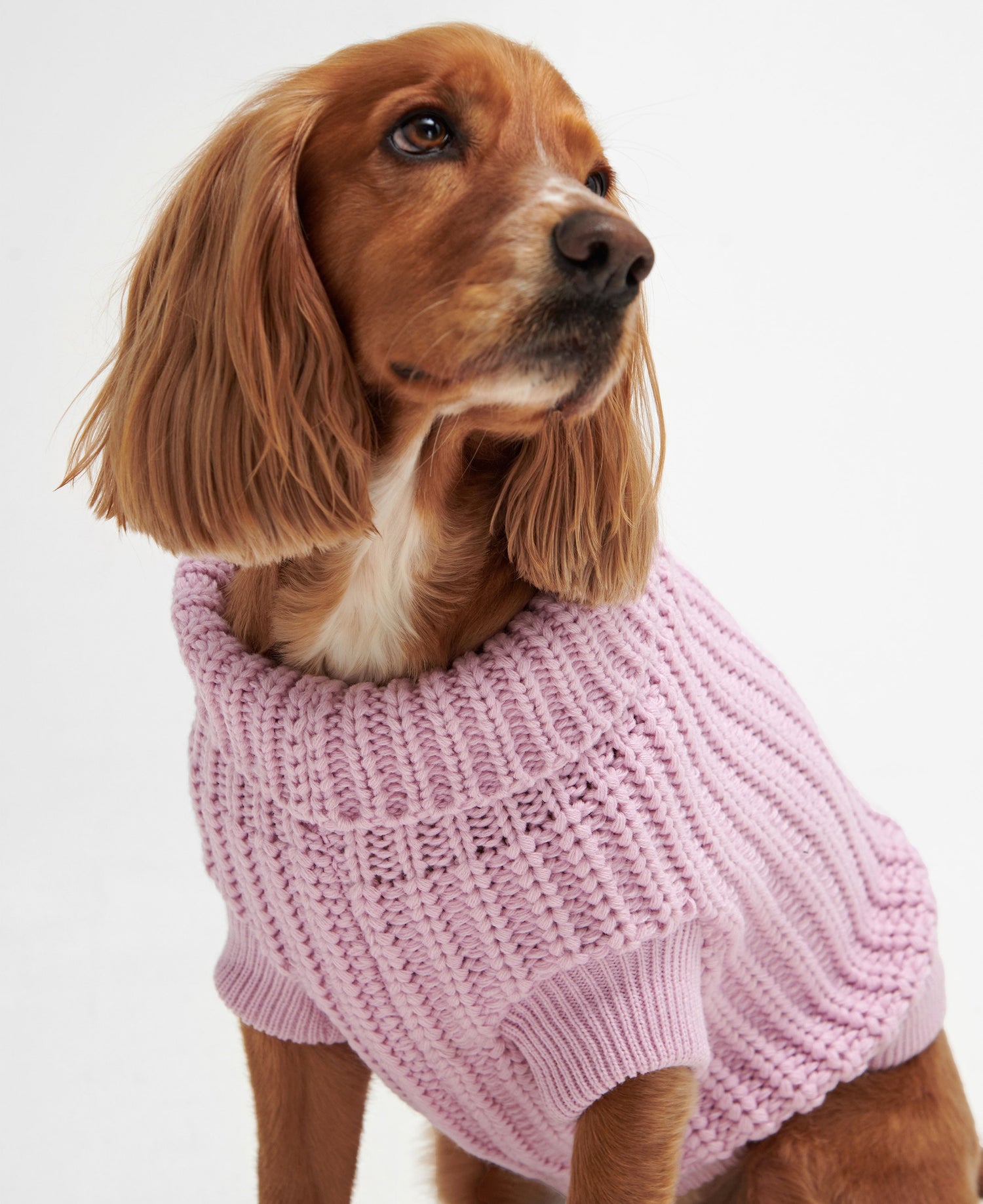 Saltburn Dog Jumper - Lavender Haze