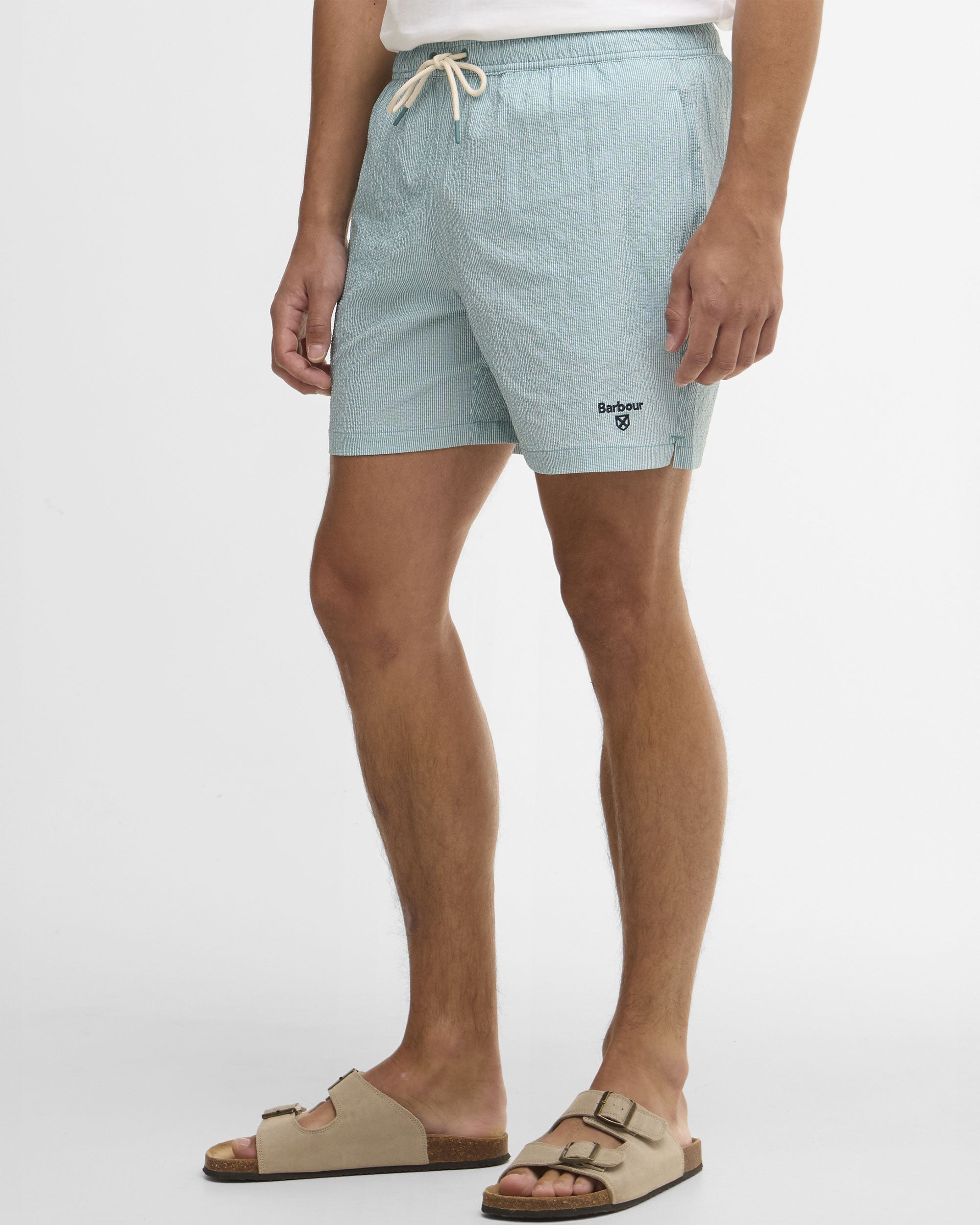 Somerset Pinstripe Swim Short - Light Teal