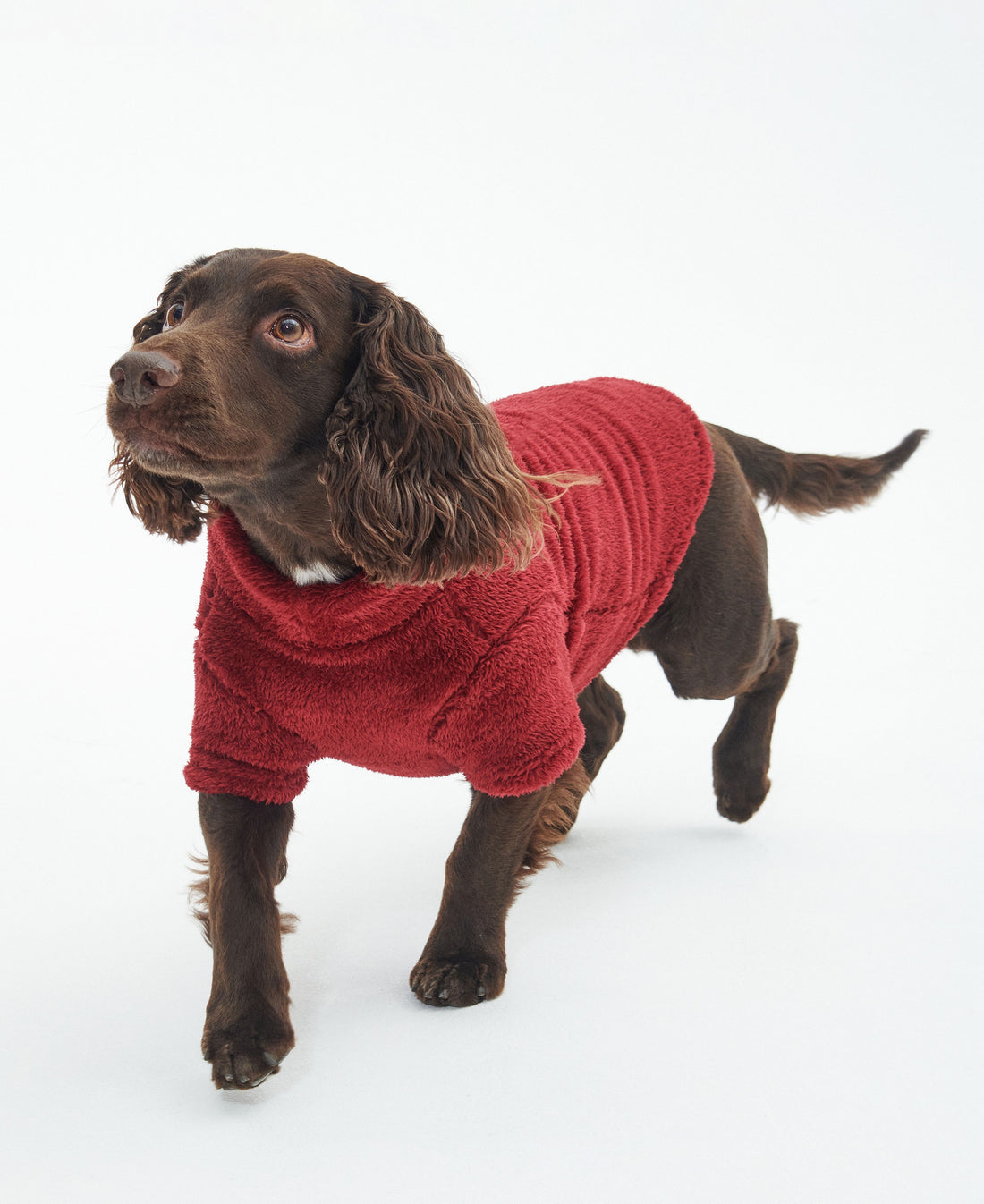 Teddy Fleece Dog Jumper - Red