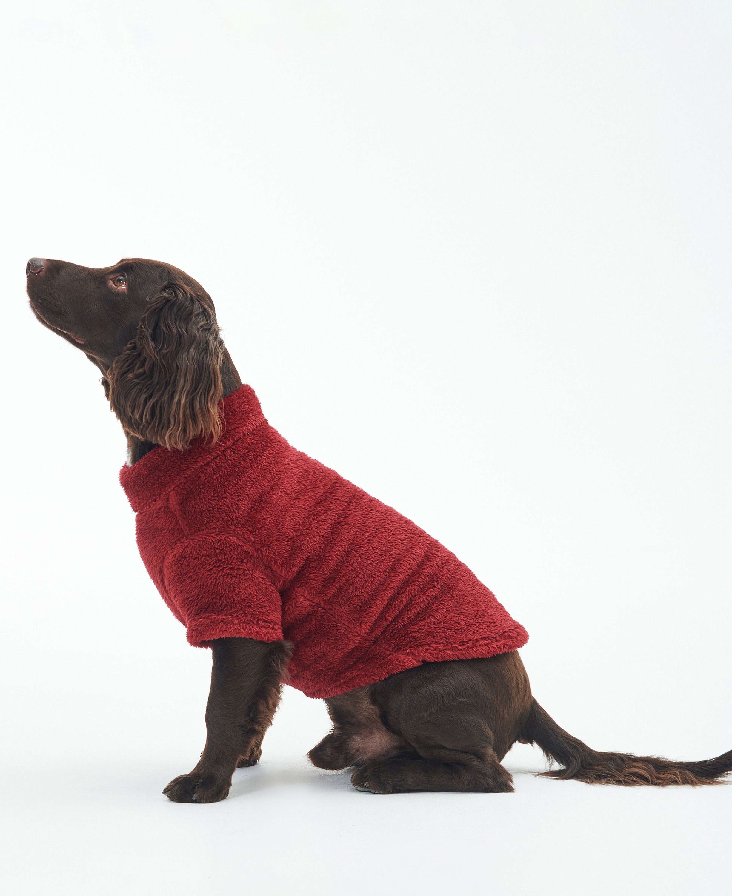 Teddy Fleece Dog Jumper - Red