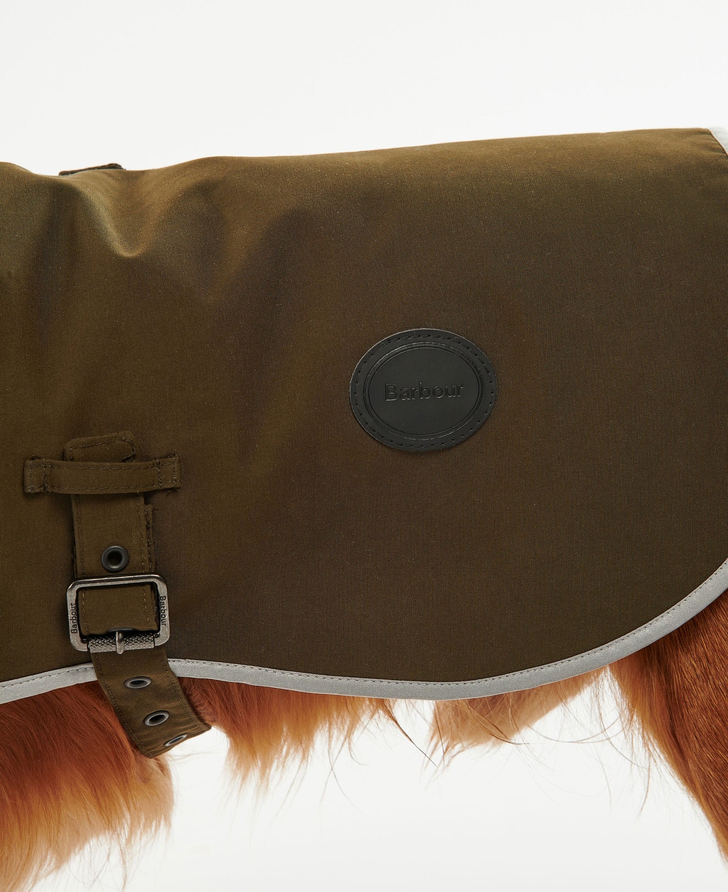 Waterproof Dog Coat - Olive