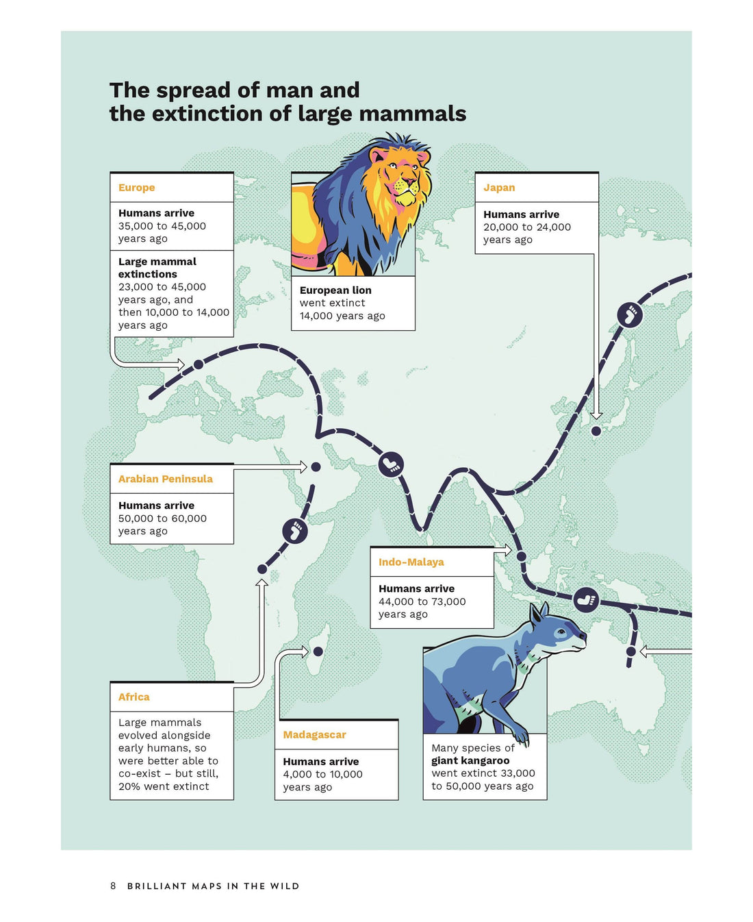 Brilliant Maps In The Wild (PB)