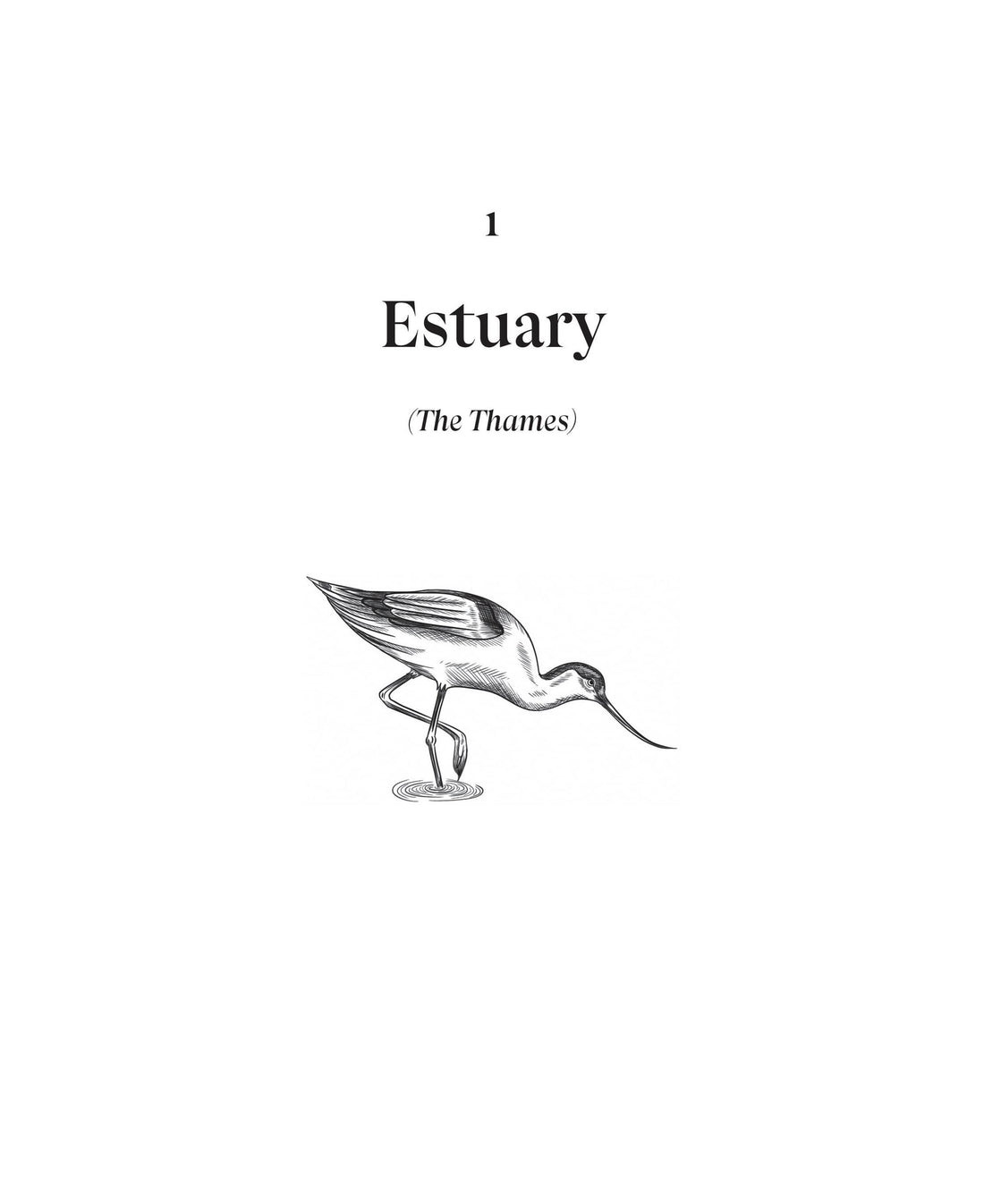 England: A Natural History (HB)