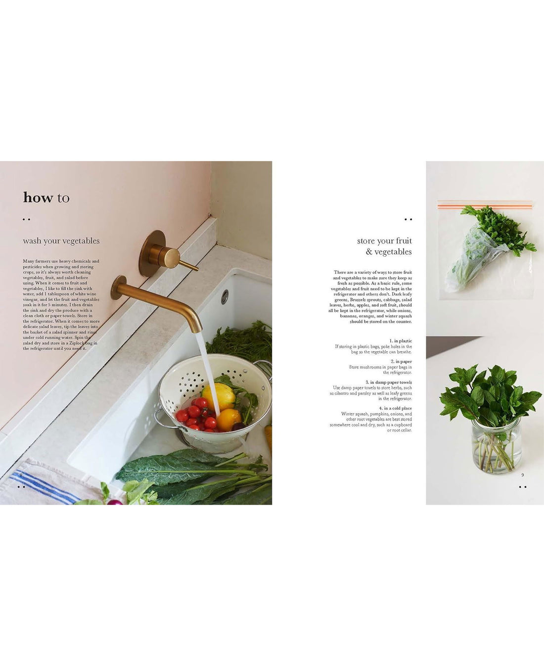 Salad Meals (HB)