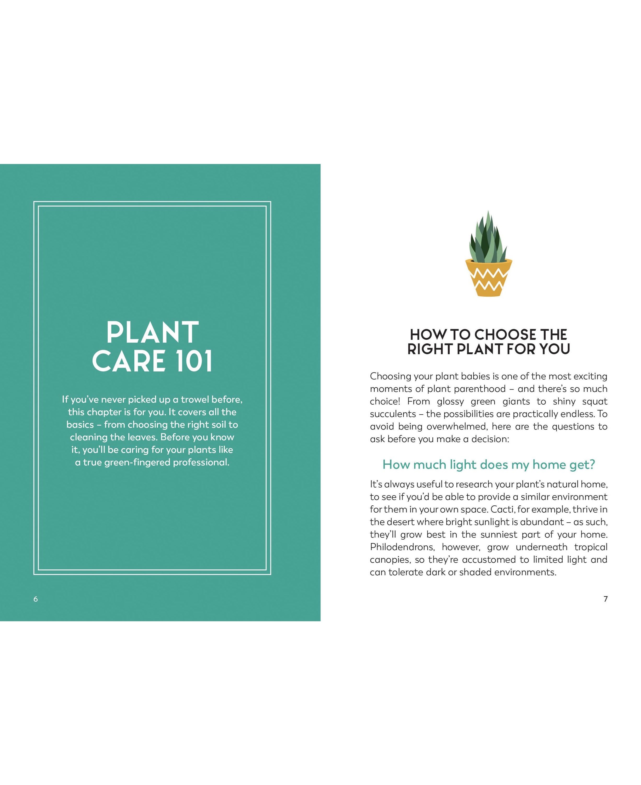 Little Book For Plant Parents