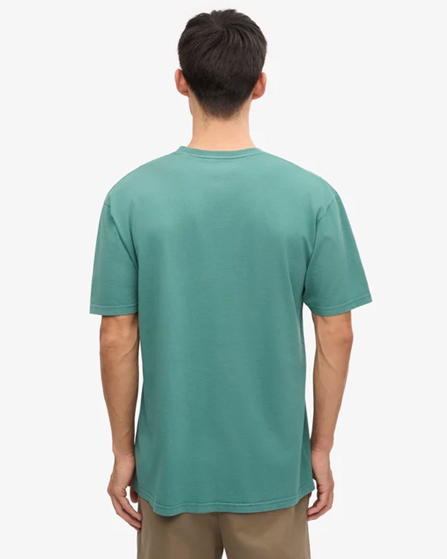 Classic Organic Tee - Pine Green