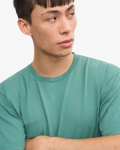 Classic Organic Tee - Pine Green
