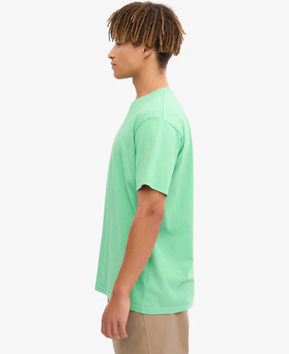 Classic Organic Tee - Spring Green