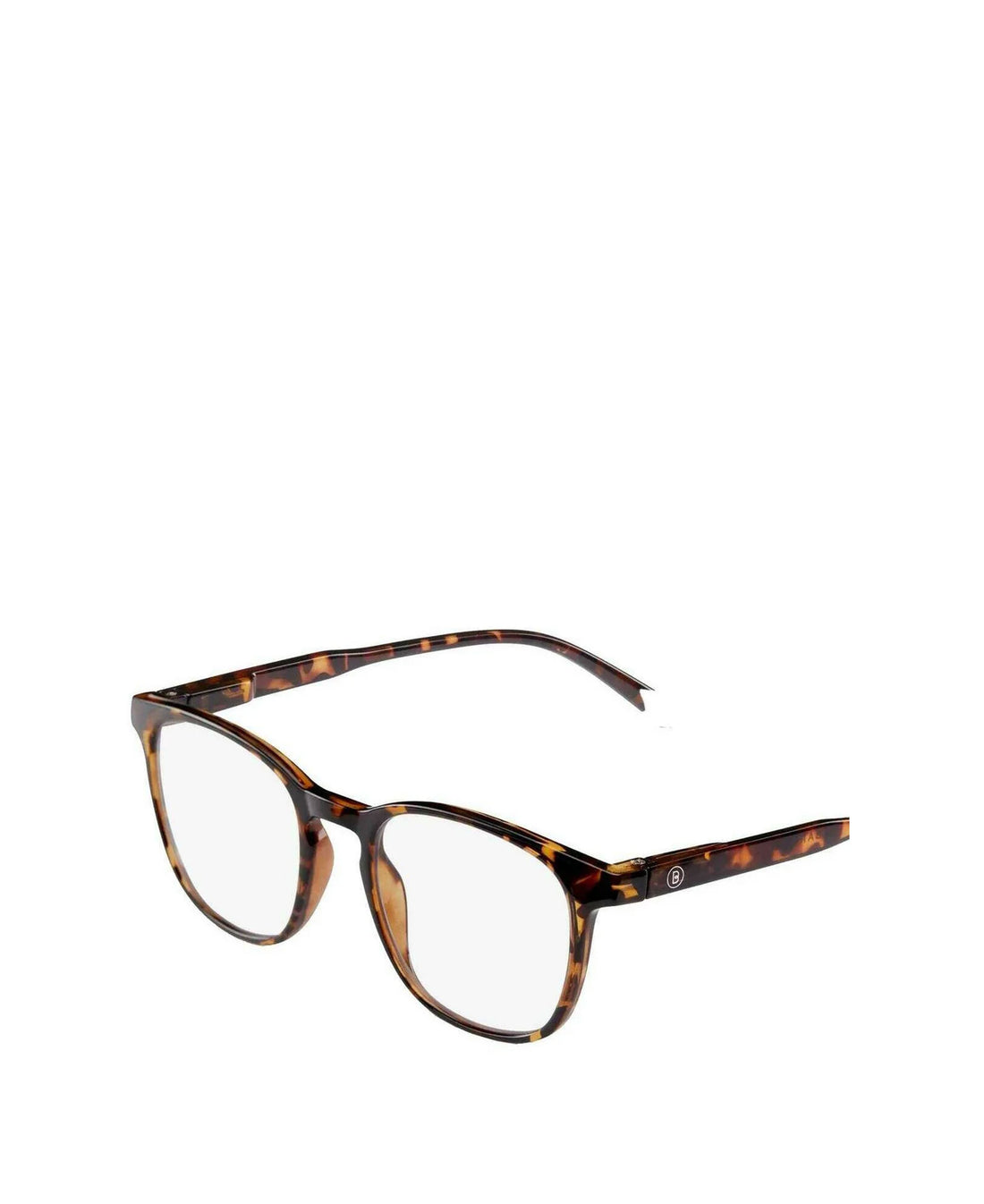 Dalston Glasses - Tortoise (Glossy)