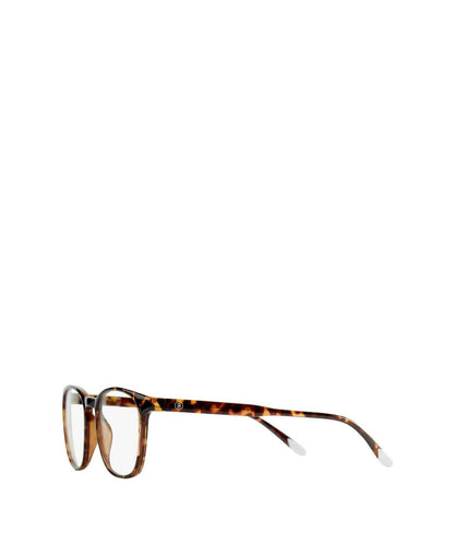 Dalston Glasses - Tortoise (Glossy)