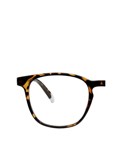 Dalston Glasses - Tortoise (Glossy)