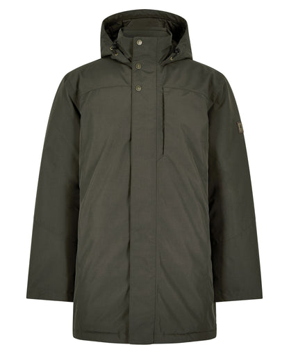Swiftsheath - Olive