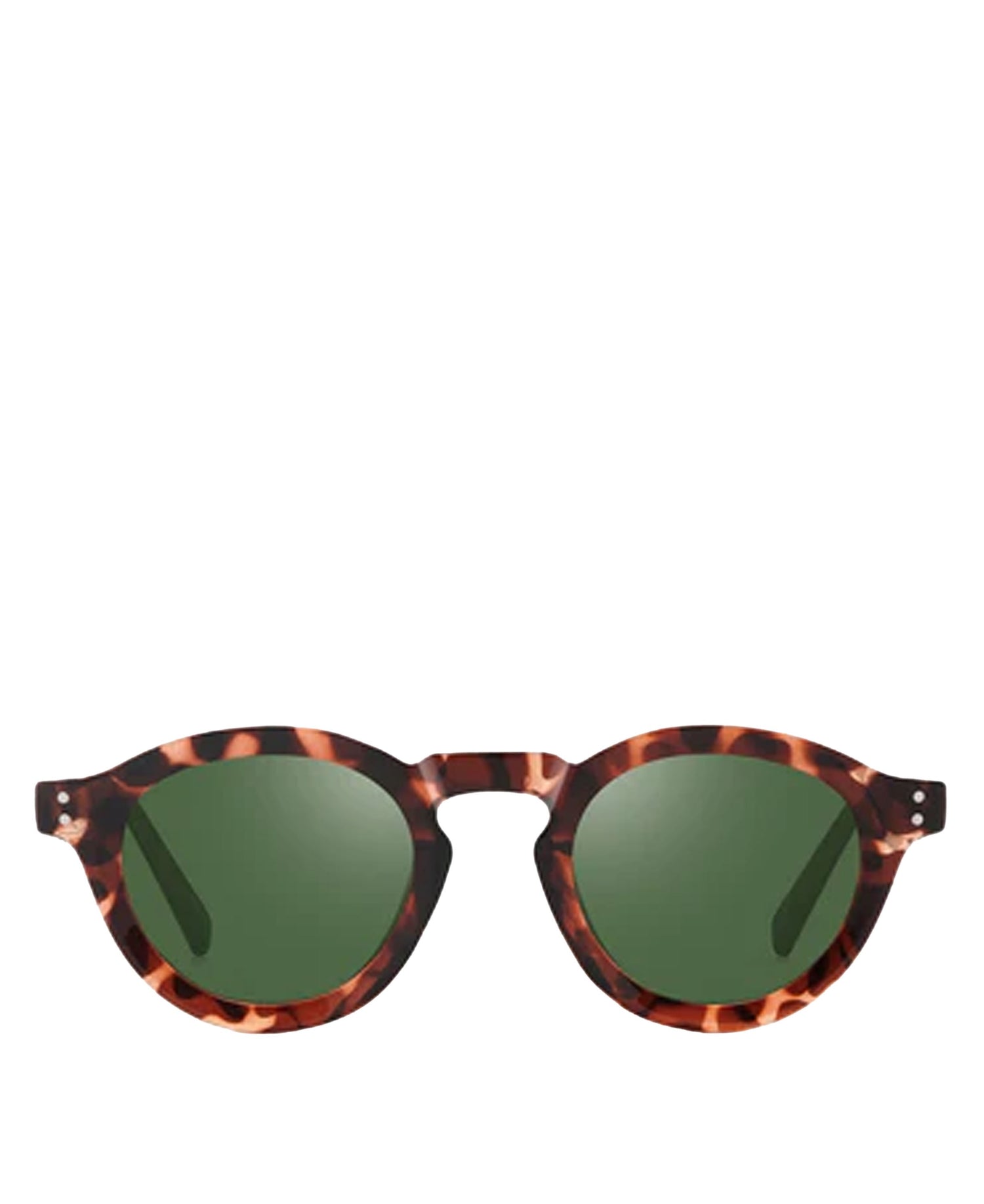 Quist Sunglasses - Havana