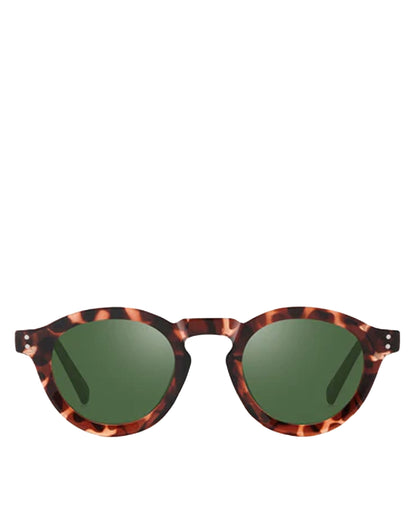 Quist Sunglasses - Havana