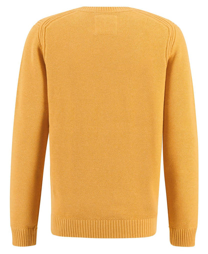 Structured O-Neck Knit - Winter Sun