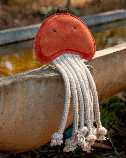 Joe Jellyfish - Ochre