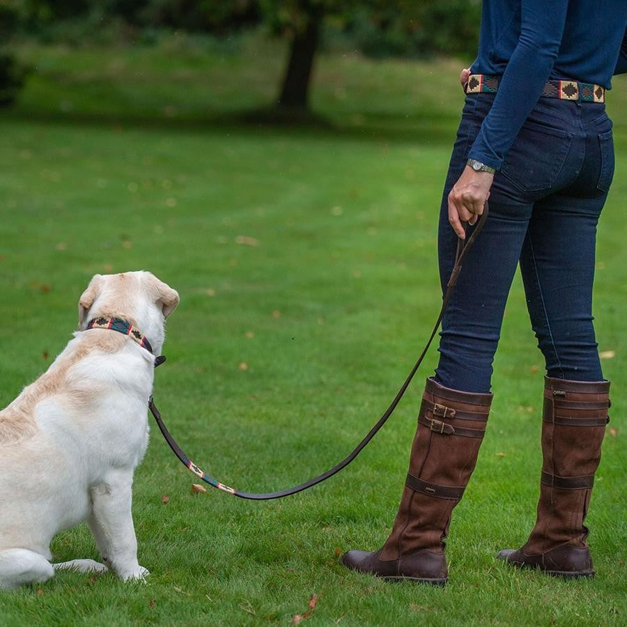 Polo Belt Style Dog Lead - Red