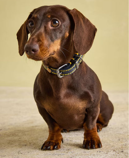 Leather Collar Small - Navy