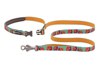 Flat Out Leash - Spring Burst