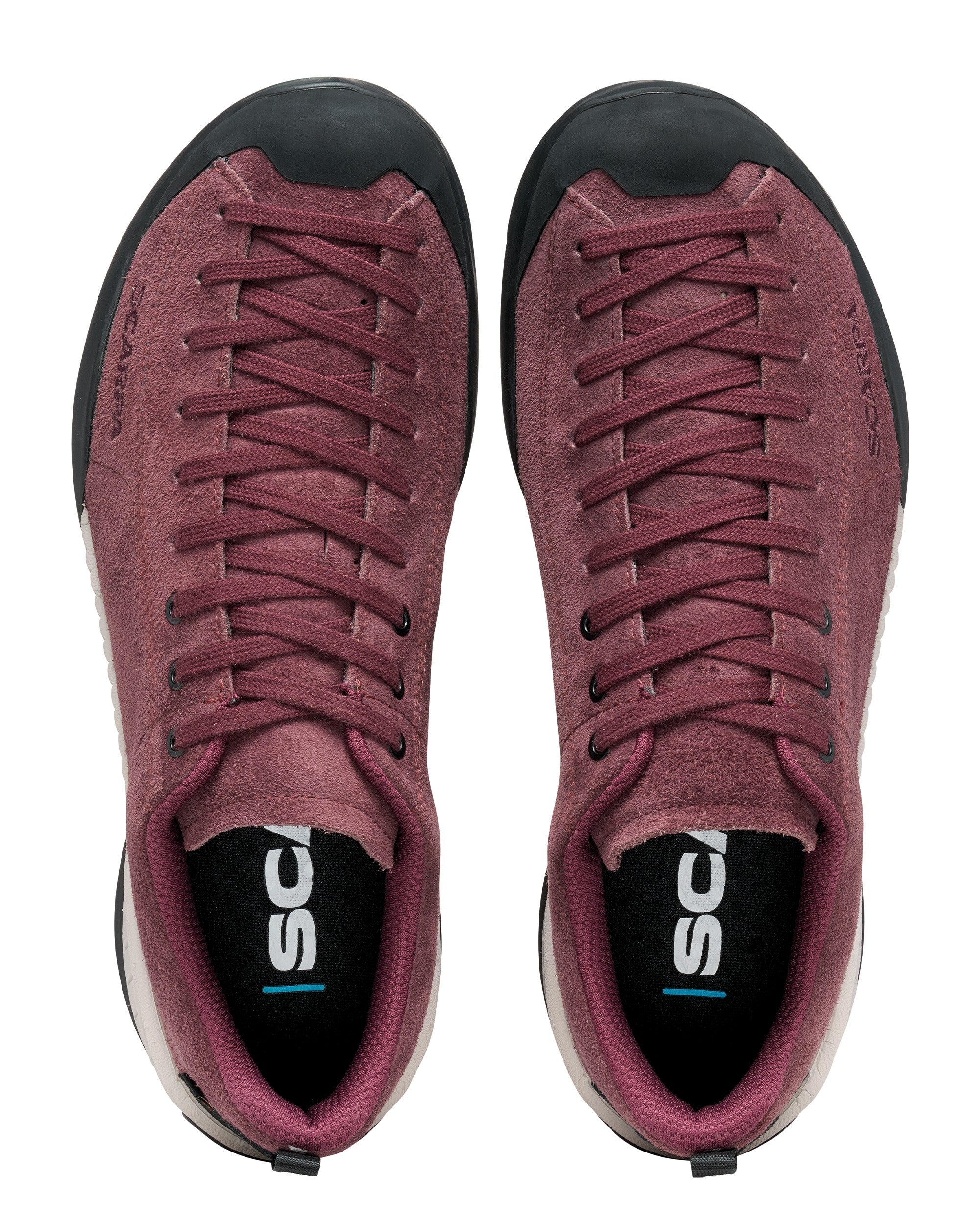 Mojito Gtx - Grape