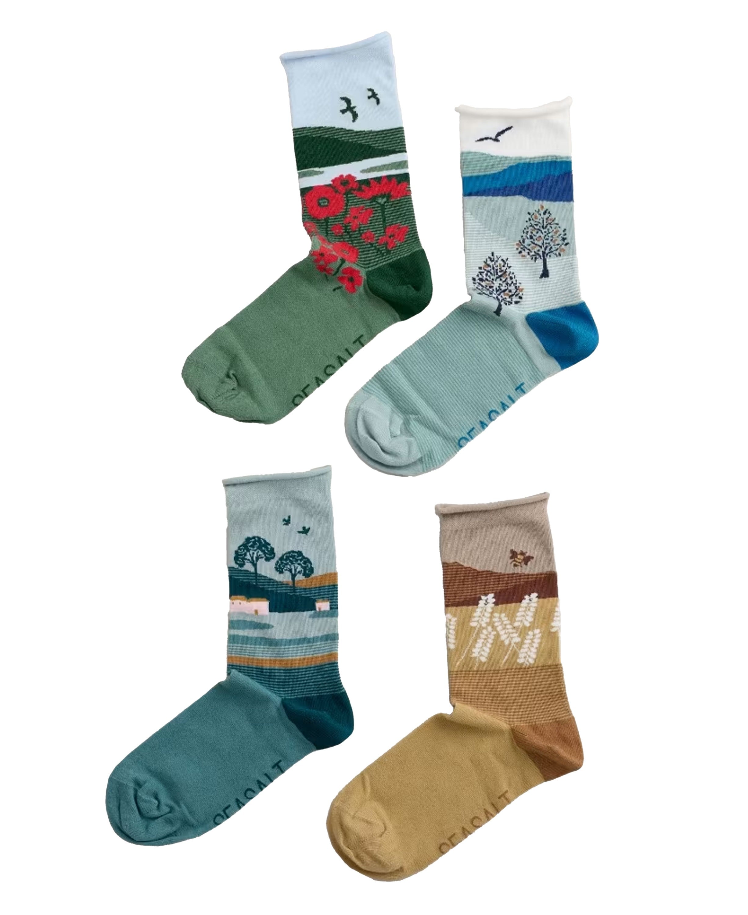 Sailor Socks Box Of 4 - Scenic Hall Walk Mix